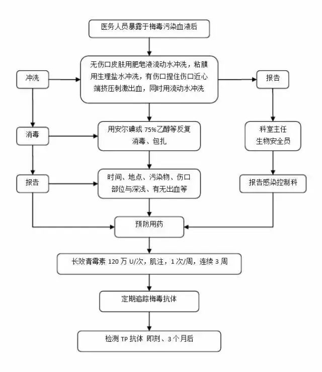 电影工业制作流程