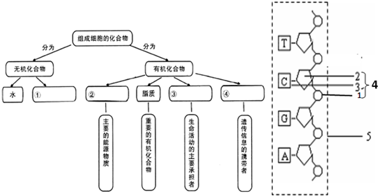 主磁路是什么东西