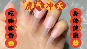 脚环怎么使用视频