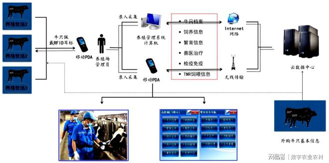 哥哥先哄她吧 第4页