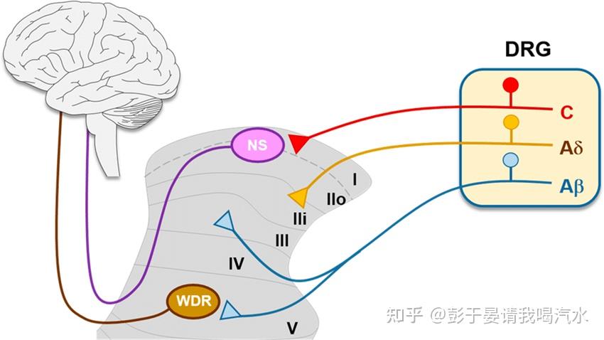 按摩器和人工按摩哪个效果好