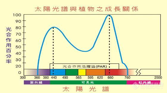 不同护色剂的护色原理及对产品品质的影响