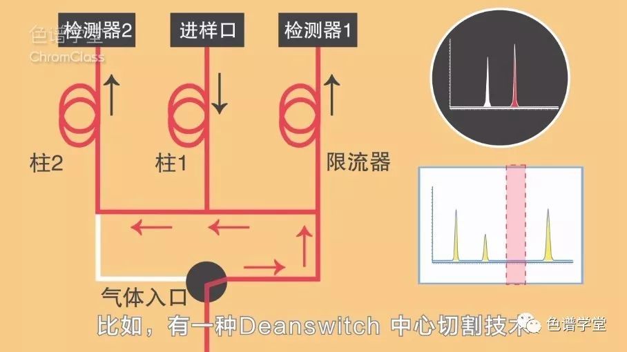 色谱柱的工作原理