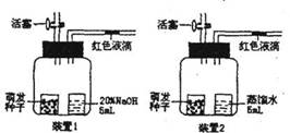 探究膨松剂在慢速气体产生条件下的作用机制