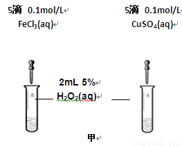 防腐剂的化学反应