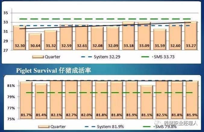 纸品制造