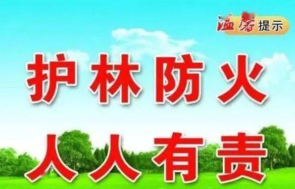 板材防火涂料，保护生命财产安全的重要选择