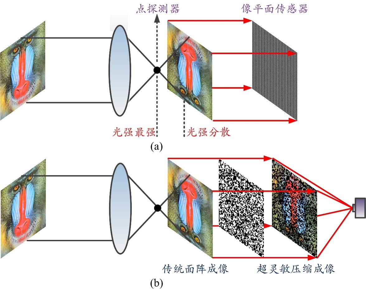 夜视仪成像与可见光成像的清晰度对比